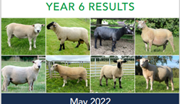 RamCompare six-year results